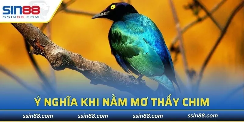 Dự đoán tương lai khi nằm mơ thấy chim