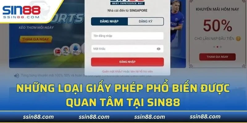 Những loại giấy phép phổ biến được quan tâm tại SIN88