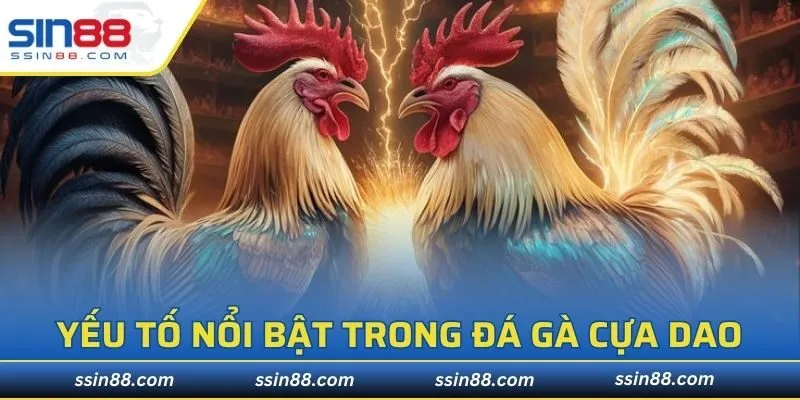 Tính chất tiêu biểu của đá gà cựa dao